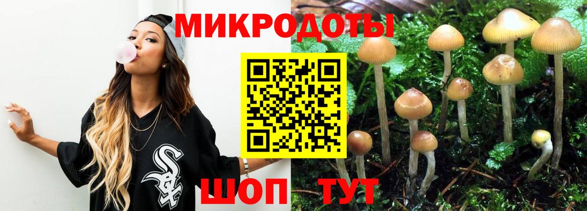 Псилоцибиновые грибы Psilocybe  Галлюциногенные грибы Psilocybe  Рассказово  Вход с VPN 