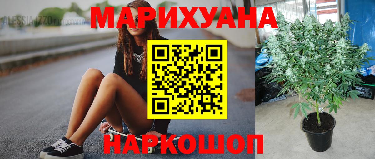 Бошки Шишки индика Рассказово